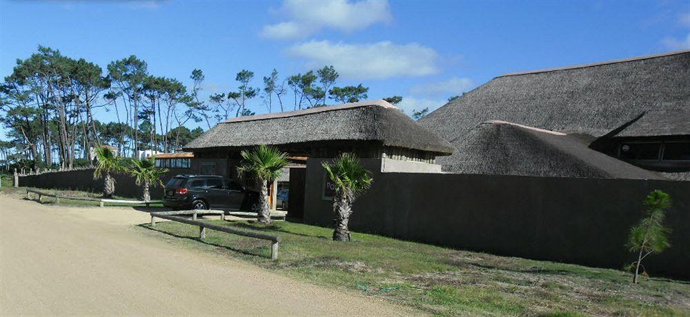 Punta Del Este Arenas Hotel Chihuahua Εξωτερικό φωτογραφία
